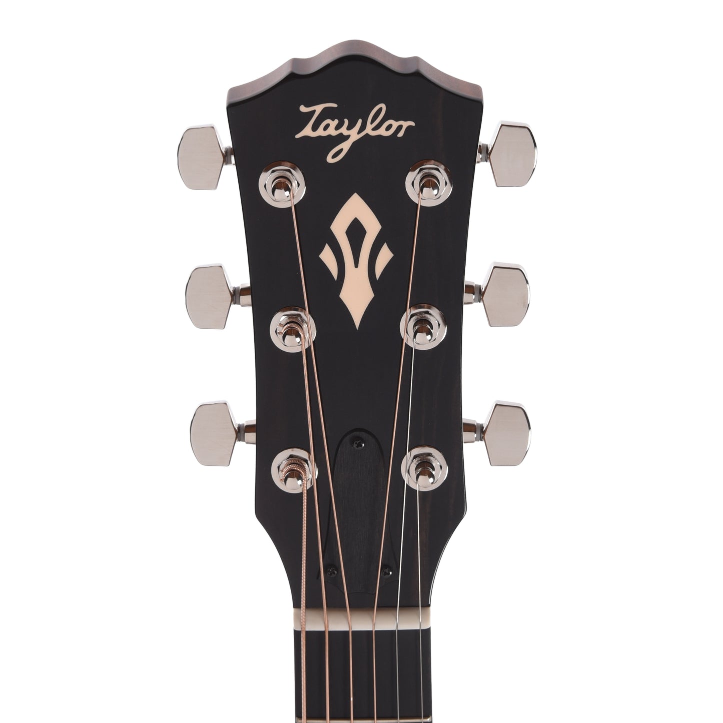 Taylor Gold Label 517e Grand Pacific Torrefied Sitka/Neo-Tropical Mahogany w/L.R. Baggs VTC Acoustic Guitars / OM and Auditorium