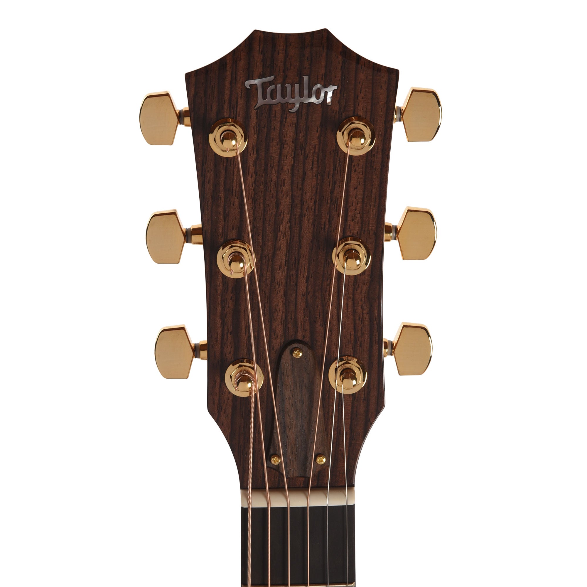 Taylor Legacy Collection 514ce Grand Auditorium Cedar/Mahogany Natural Acoustic Guitars / OM and Auditorium