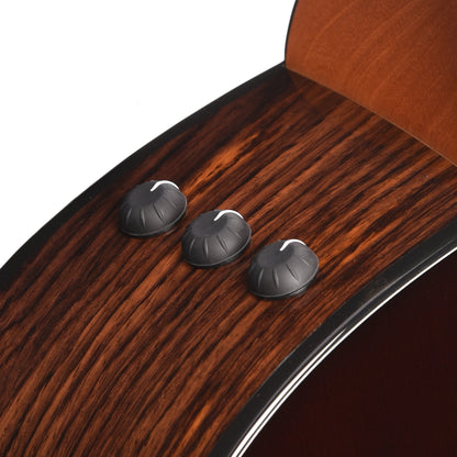 Taylor Limited 50th Anniversary 217e-SB Plus Grand Pacific Spruce/Rosewood Tobacco Sunburst Top Factory B-Stock Acoustic Guitars / OM and Auditorium