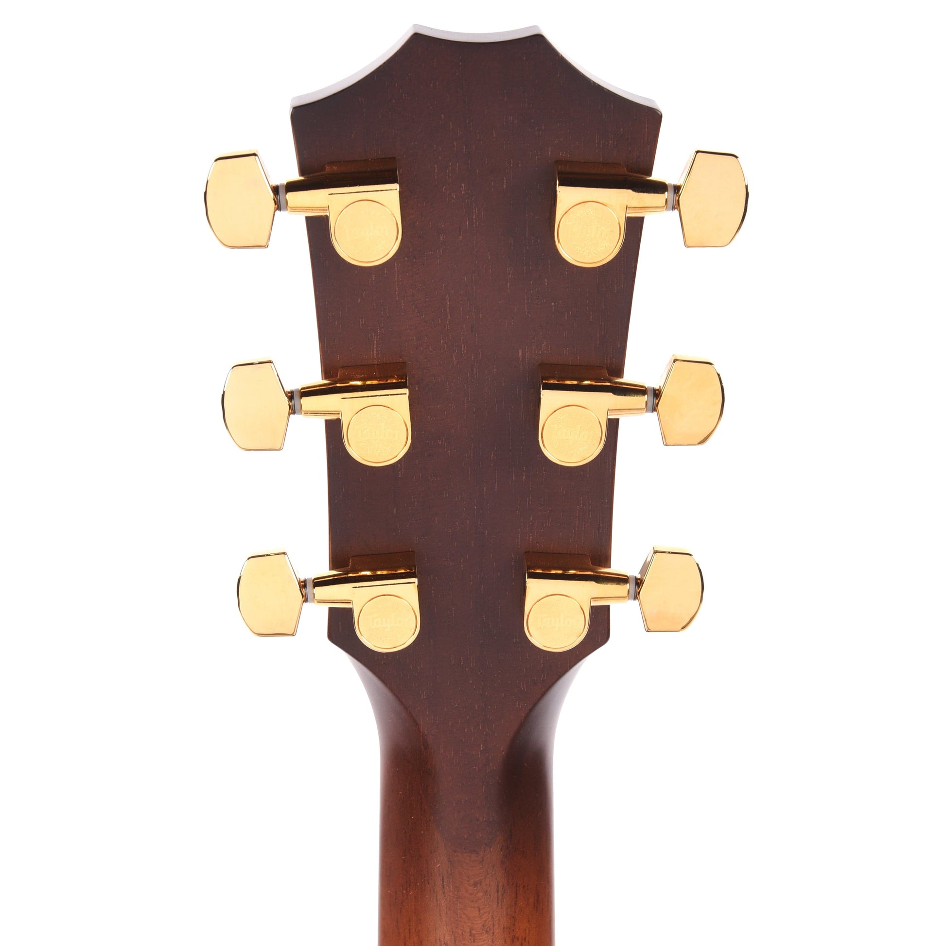 Taylor Limited 50th Anniversary 314ce Grand Auditorium Spruce/Sapele Shaded Edgeburst Acoustic Guitars / OM and Auditorium