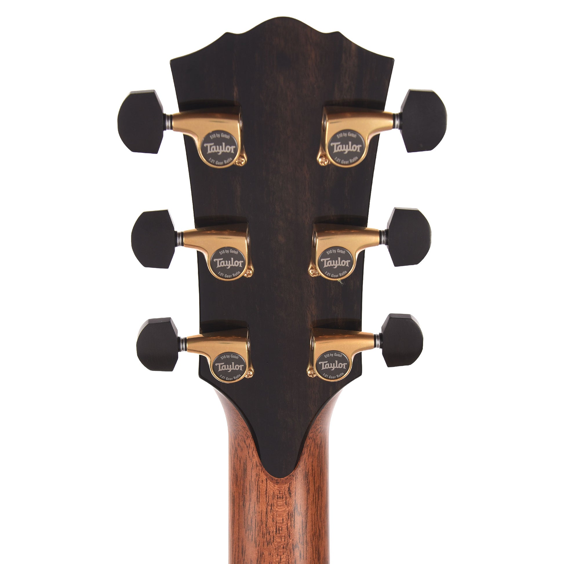 Taylor Next Generation Gold Label 917e Grand Pacific Torrefied Adirondack Spruce/Honduran Rosewood Natural w/L.R. Baggs Element Acoustic Guitars / OM and Auditorium