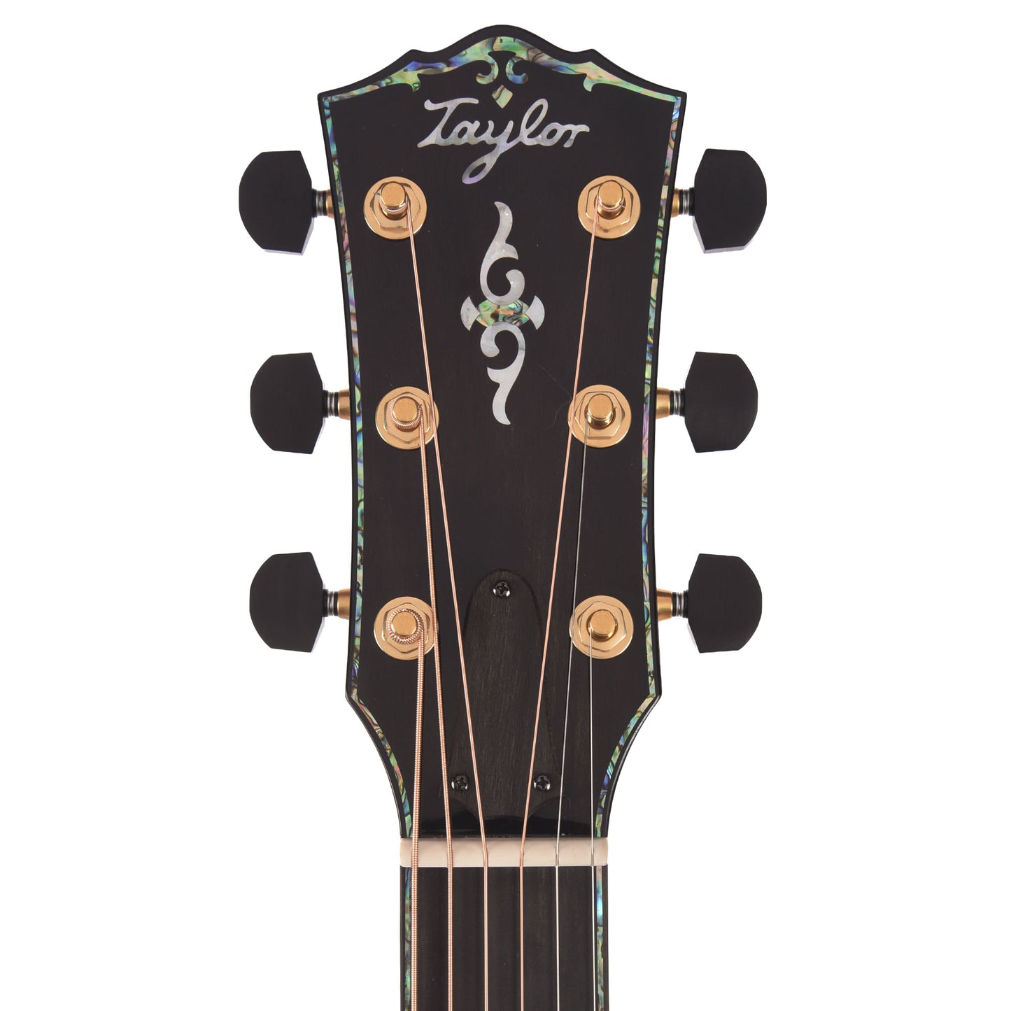 Taylor Next Generation Gold Label 917e Grand Pacific Torrefied Adirondack Spruce/Honduran Rosewood Natural w/L.R. Baggs Element Acoustic Guitars / OM and Auditorium