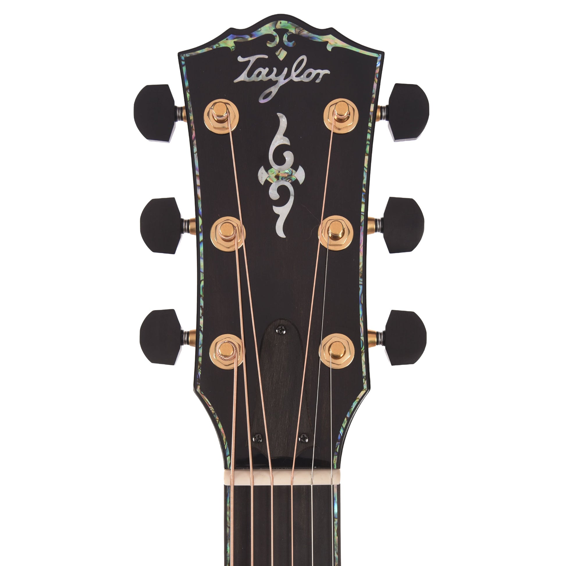 Taylor Next Generation Gold Label 917e Grand Pacific Torrefied Adirondack Spruce/Honduran Rosewood Natural w/L.R. Baggs Element Acoustic Guitars / OM and Auditorium