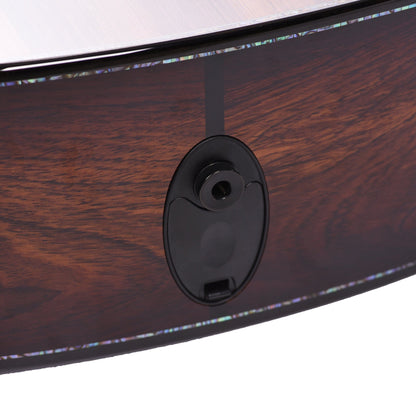 Taylor PS14ce Grand Auditorium Sinker Redwood/Honduran Rosewood Shaded Edgeburst Acoustic Guitars / OM and Auditorium