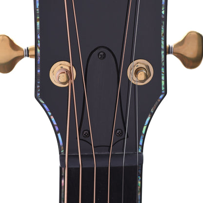Taylor PS14ce Grand Auditorium Sinker Redwood/Honduran Rosewood Shaded Edgeburst Acoustic Guitars / OM and Auditorium
