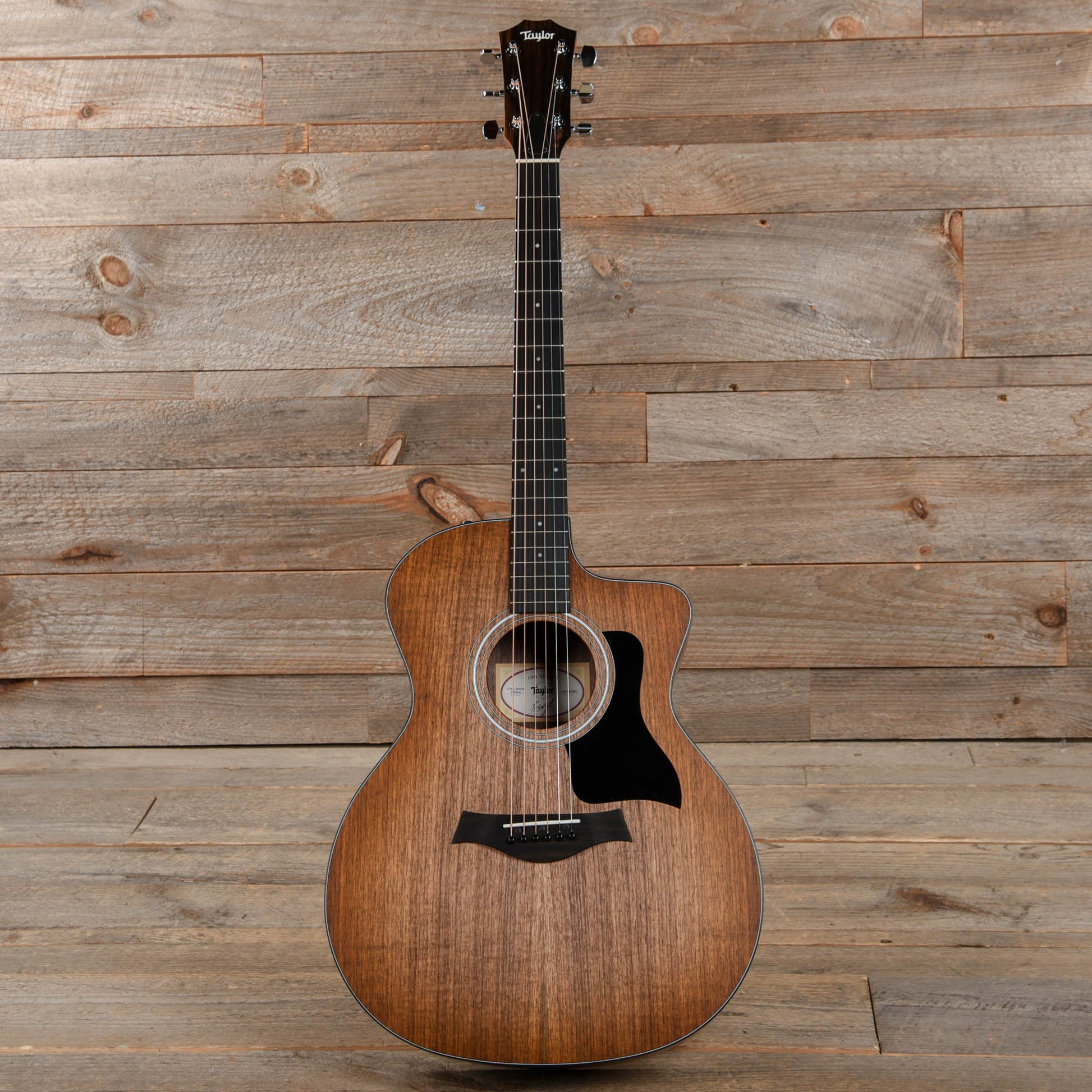 Taylor Special Edition 124ce Grand Auditorium Walnut Shaded Edgeburst Acoustic Guitars / OM and Auditorium