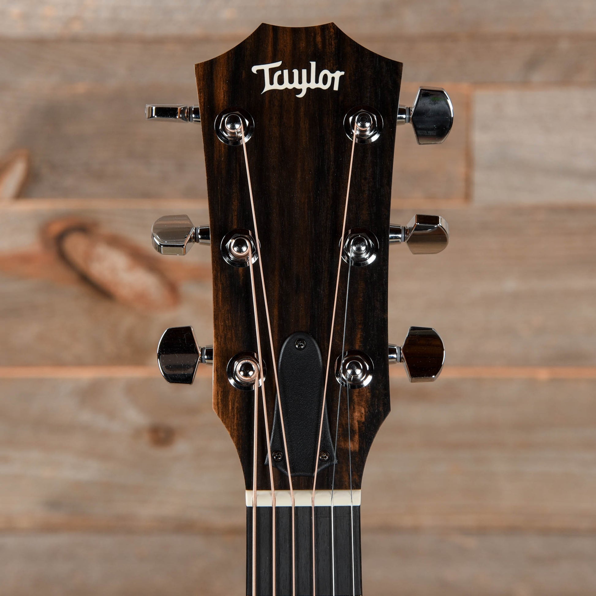Taylor Special Edition 124ce Grand Auditorium Walnut Shaded Edgeburst Acoustic Guitars / OM and Auditorium