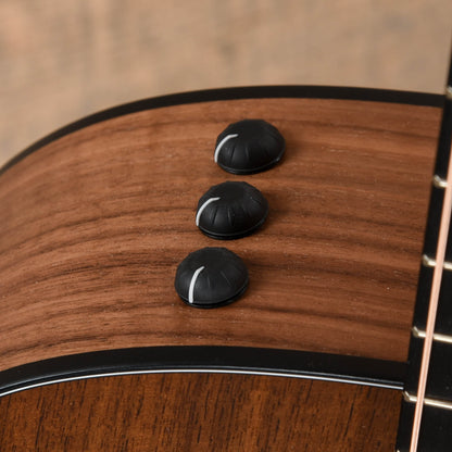 Taylor Special Edition 124ce Grand Auditorium Walnut Shaded Edgeburst Acoustic Guitars / OM and Auditorium