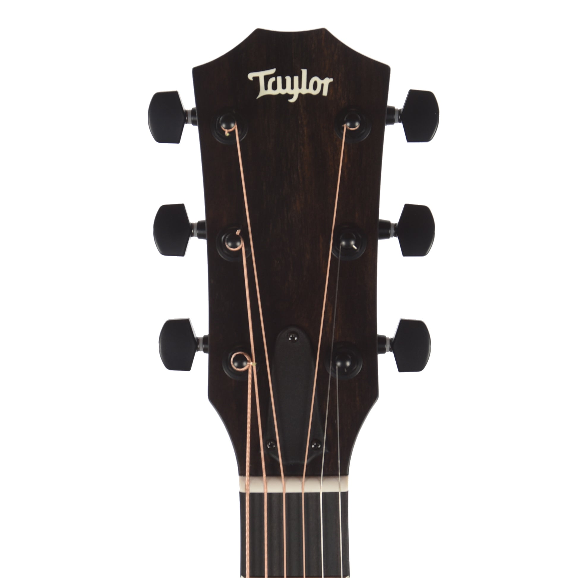Taylor Special Edition 214ce Grand Auditorium Engelmann Spruce/Sapele Blue Top ES2 Acoustic Guitars / OM and Auditorium