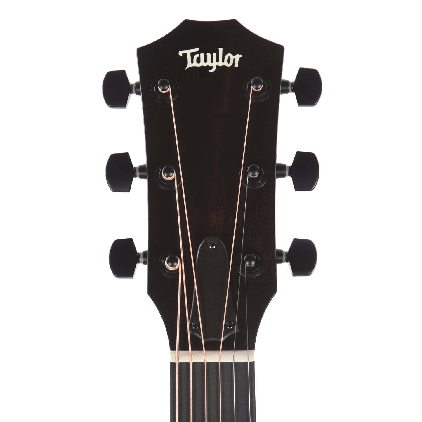 Taylor Special Edition 214ce Grand Auditorium Engelmann Spruce/Sapele Grey Top ES2 Acoustic Guitars / OM and Auditorium