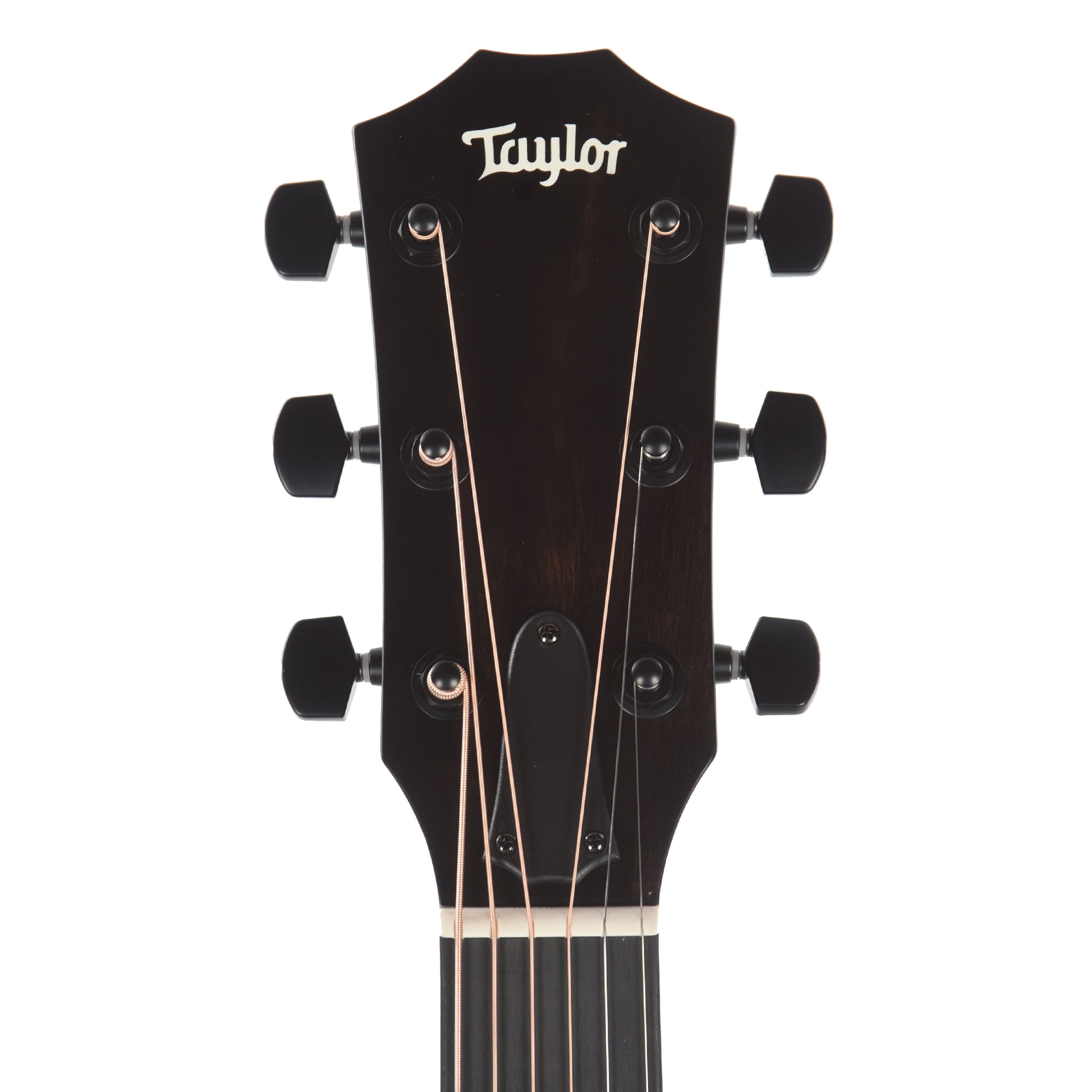 Taylor Special Edition 214ce Grand Auditorium Engelmann Spruce/Sapele Grey Top ES2 Acoustic Guitars / OM and Auditorium