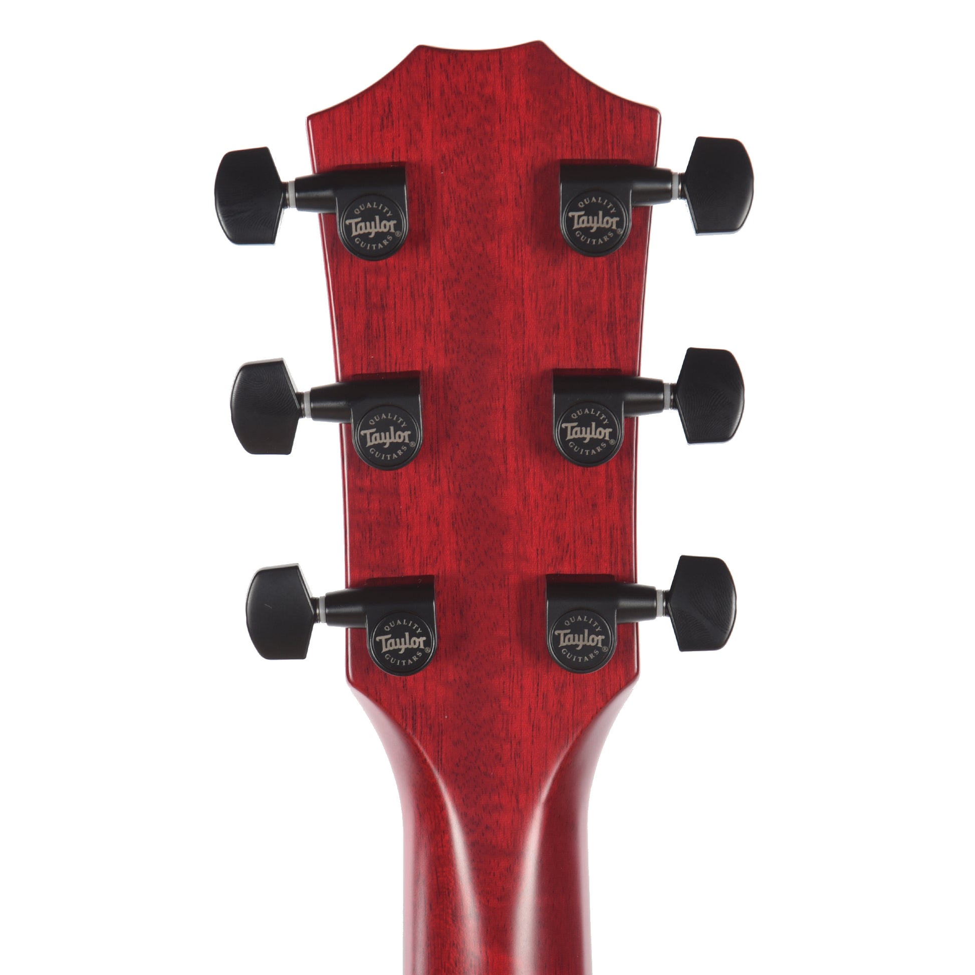 Taylor Special Edition 224ce Grand Auditorium Neo-Tropical Mahogany/Sapele Red Top ES2 Acoustic Guitars / OM and Auditorium