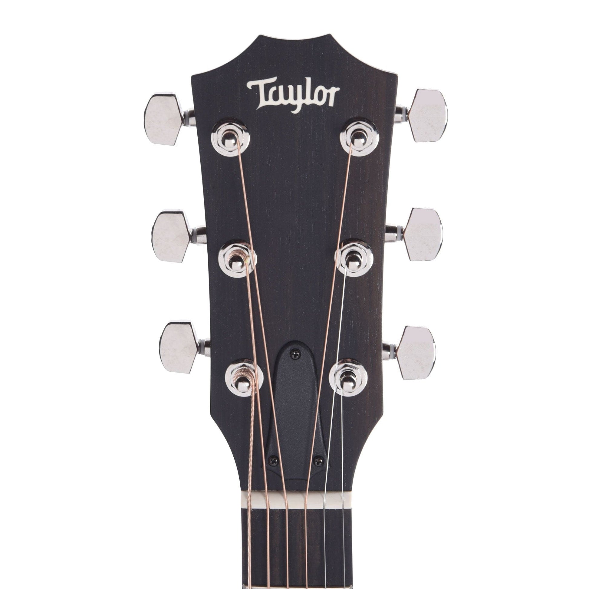 Taylor Special Edition 224ce Plus Grand Auditorium Mahogany/Sapele Natural Acoustic Guitars / OM and Auditorium