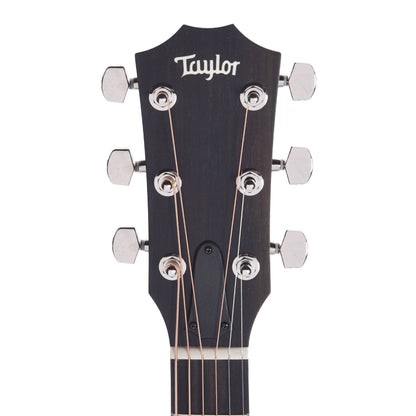 Taylor Special Edition 224ce Plus Grand Auditorium Mahogany/Sapele Natural Acoustic Guitars / OM and Auditorium