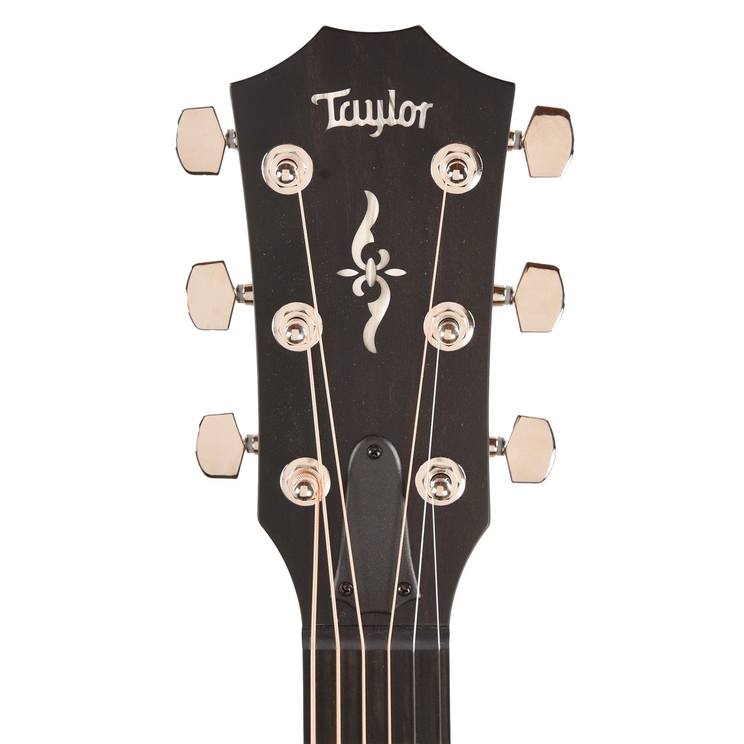 Taylor Special Edition 424ce Grand Auditorium Walnut Shaded Edgeburst Acoustic Guitars / OM and Auditorium
