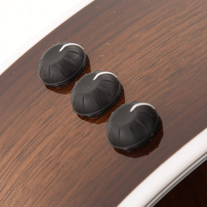 Taylor Special Edition 424ce Grand Auditorium Walnut Shaded Edgeburst Acoustic Guitars / OM and Auditorium