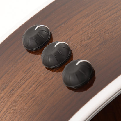 Taylor Special Edition 424ce Grand Auditorium Walnut Shaded Edgeburst Acoustic Guitars / OM and Auditorium