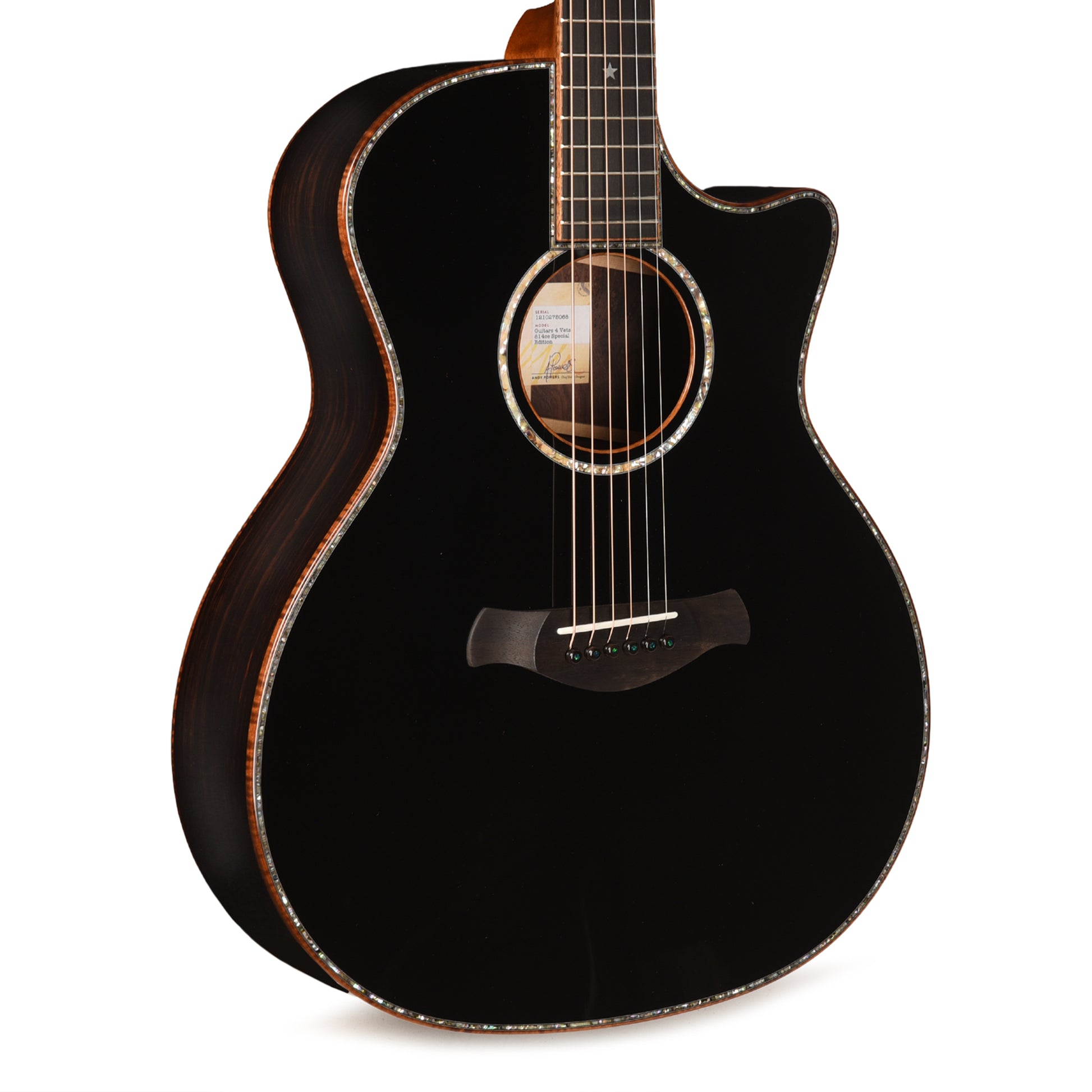 Taylor Special Edition Guitars 4 Vets 814ce Spruce/Figured Rosewood Black w/Claria Pickup Acoustic Guitars / OM and Auditorium
