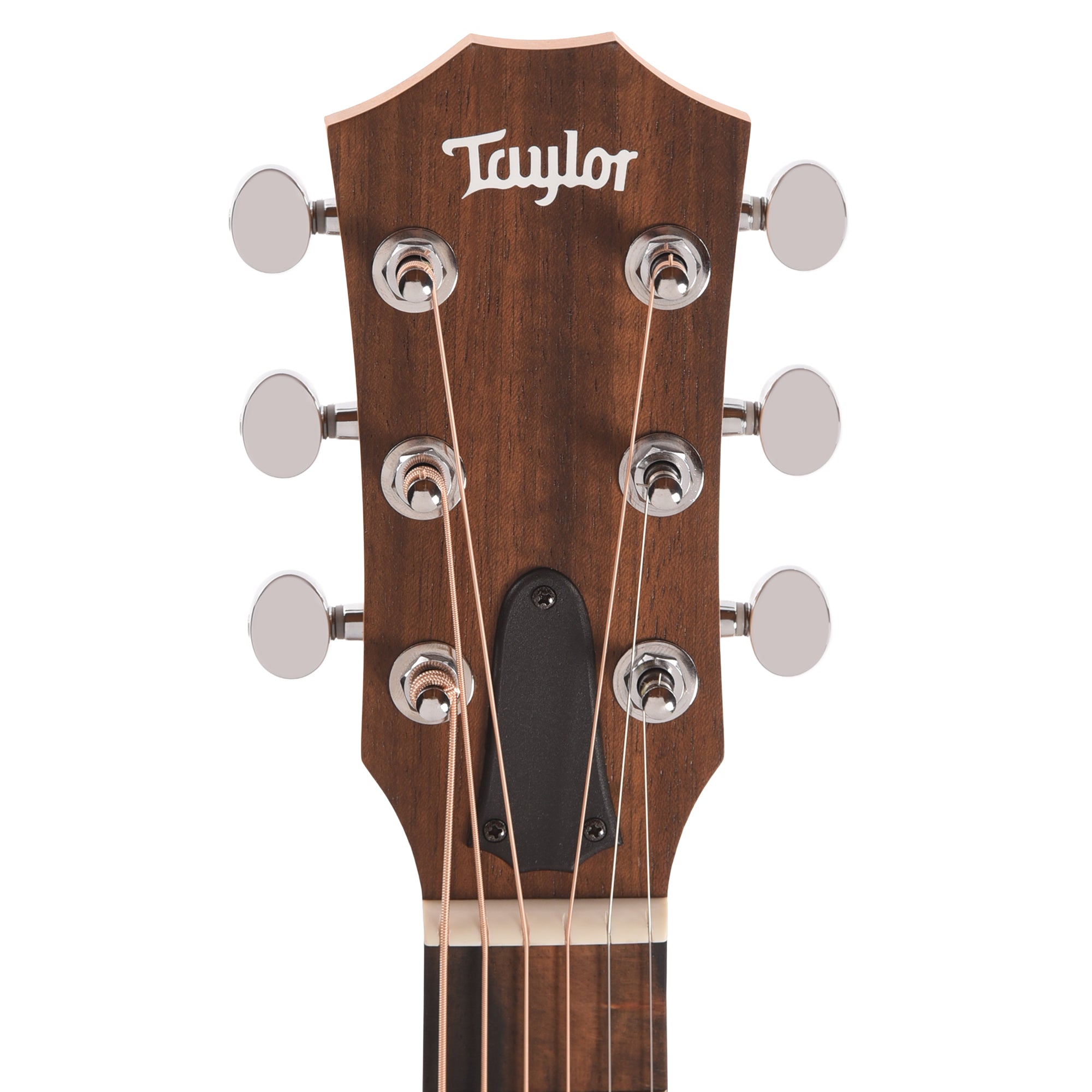 Taylor Special Edition Guitars 4 Vets GS Mini Torrefied Spruce/Sapele Camo Acoustic Guitars / OM and Auditorium