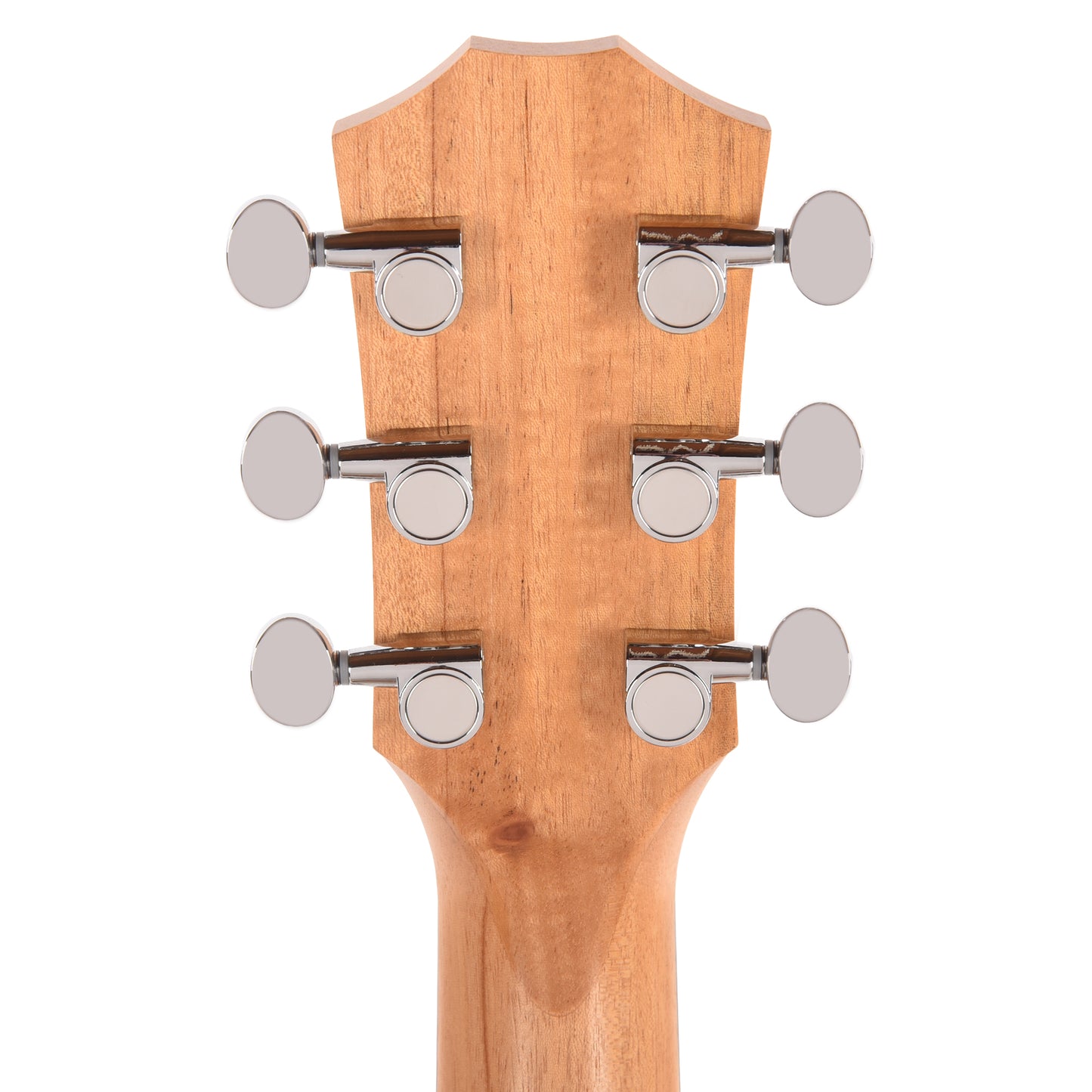 Taylor Special Edition Guitars 4 Vets GS Mini Torrefied Spruce/Sapele Camo Acoustic Guitars / OM and Auditorium