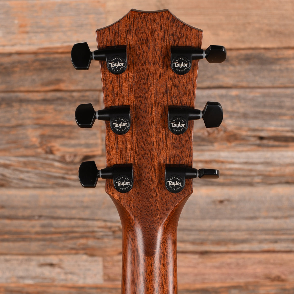 Taylor 324ce Natural 2022 Acoustic Guitars