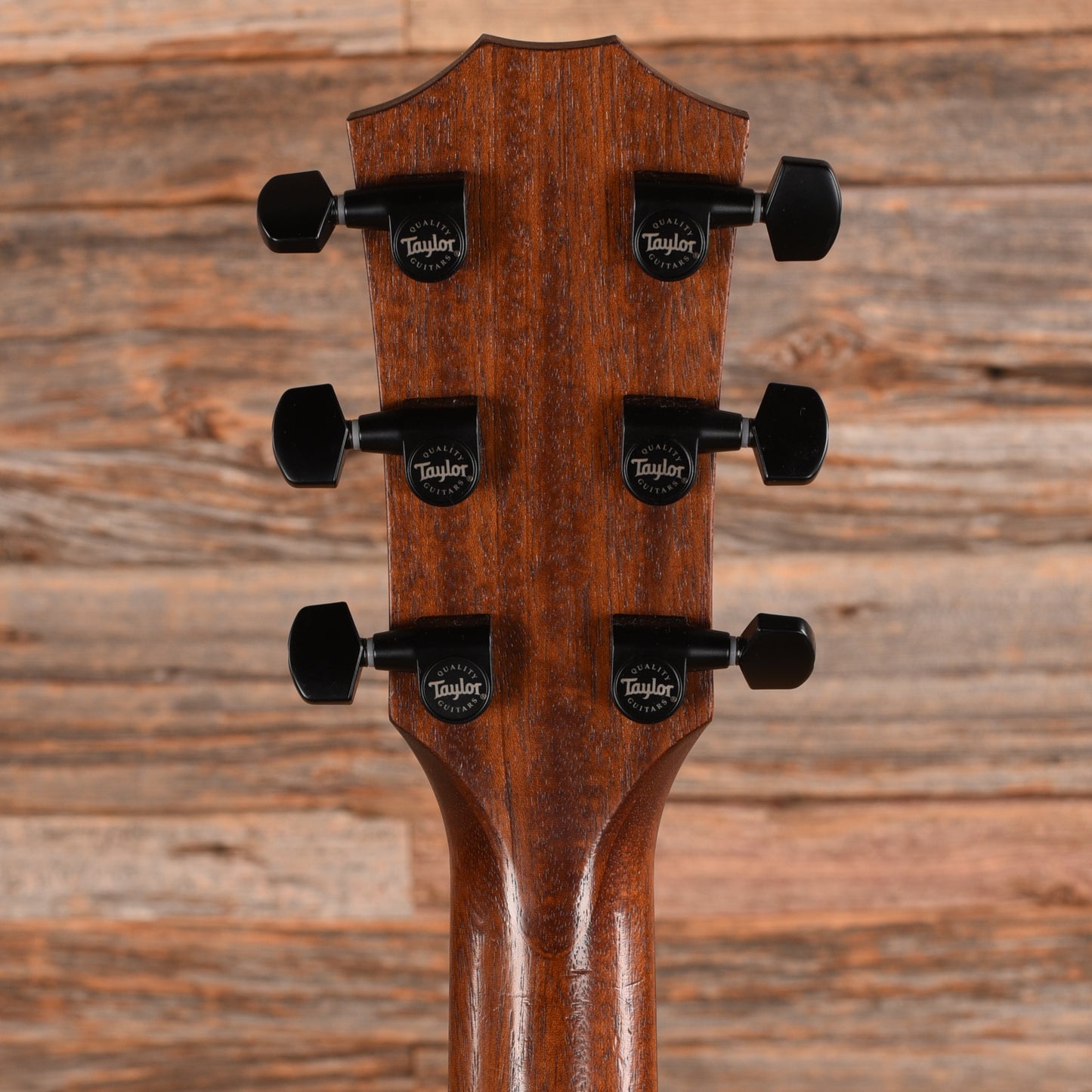 Taylor AD22e Sienna 2021 Acoustic Guitars