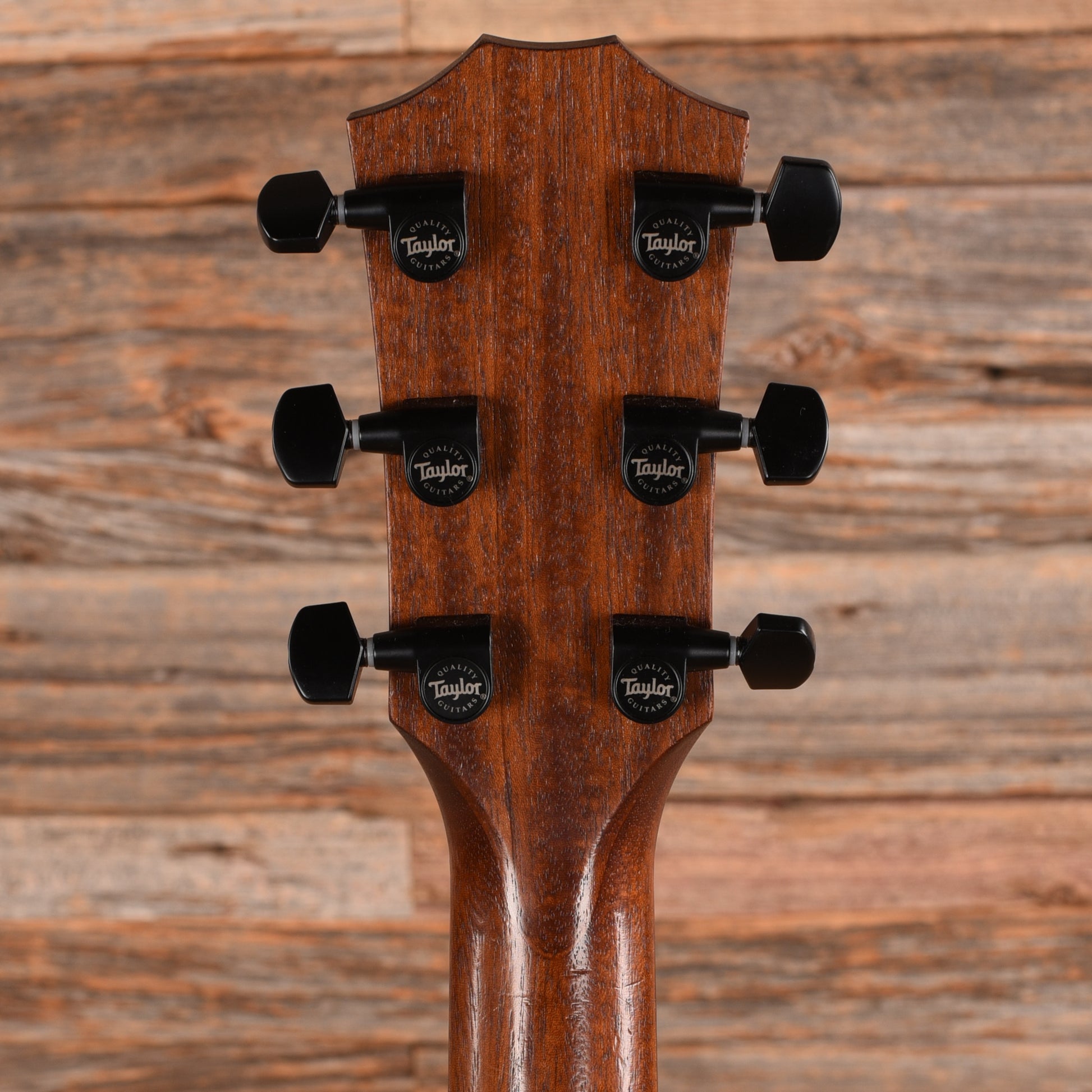 Taylor AD22e Sienna 2021 Acoustic Guitars