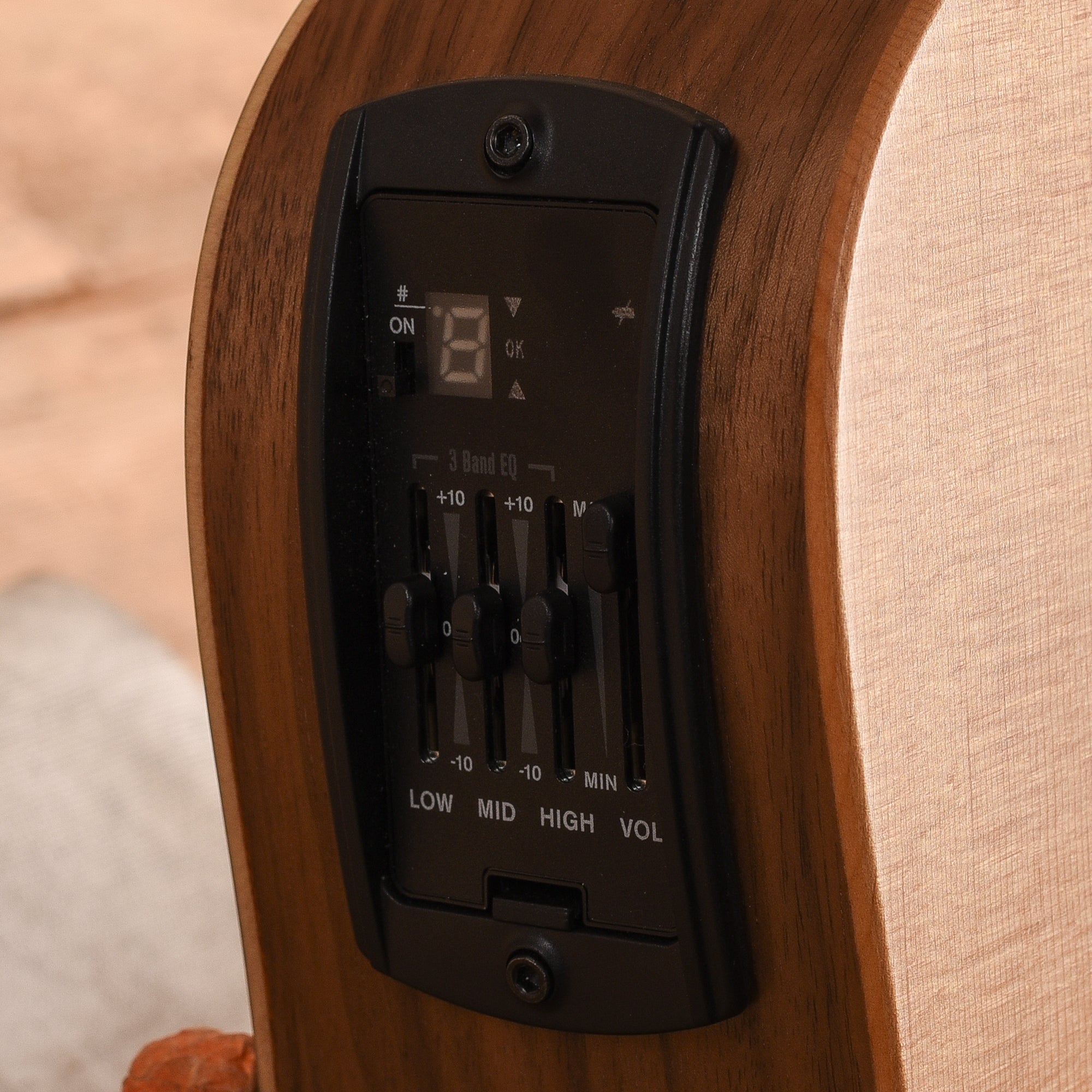 Taylor BT1e Walnut Natural w/ES-B Acoustic Guitars