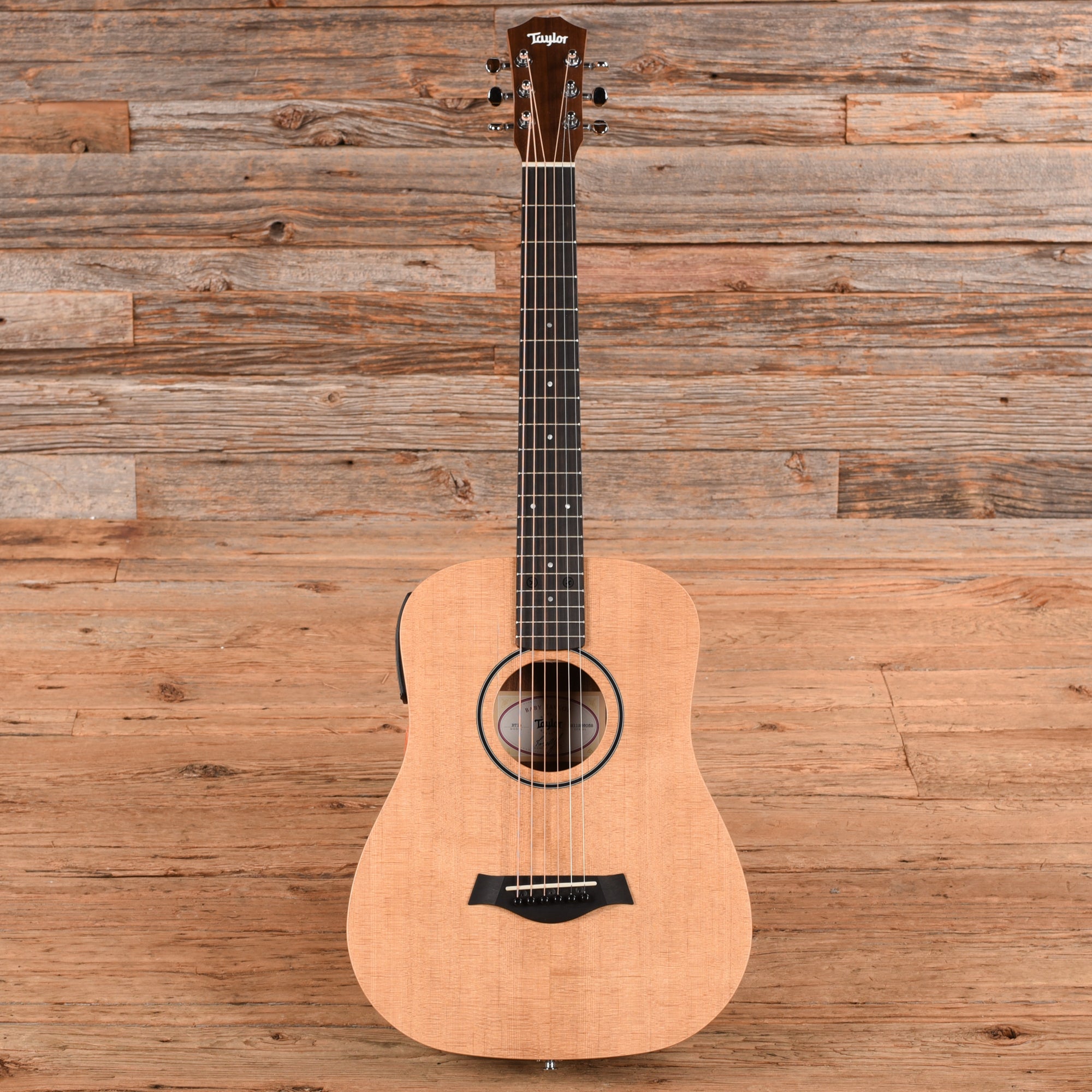 Taylor BT1e Walnut Natural w/ES-B Acoustic Guitars
