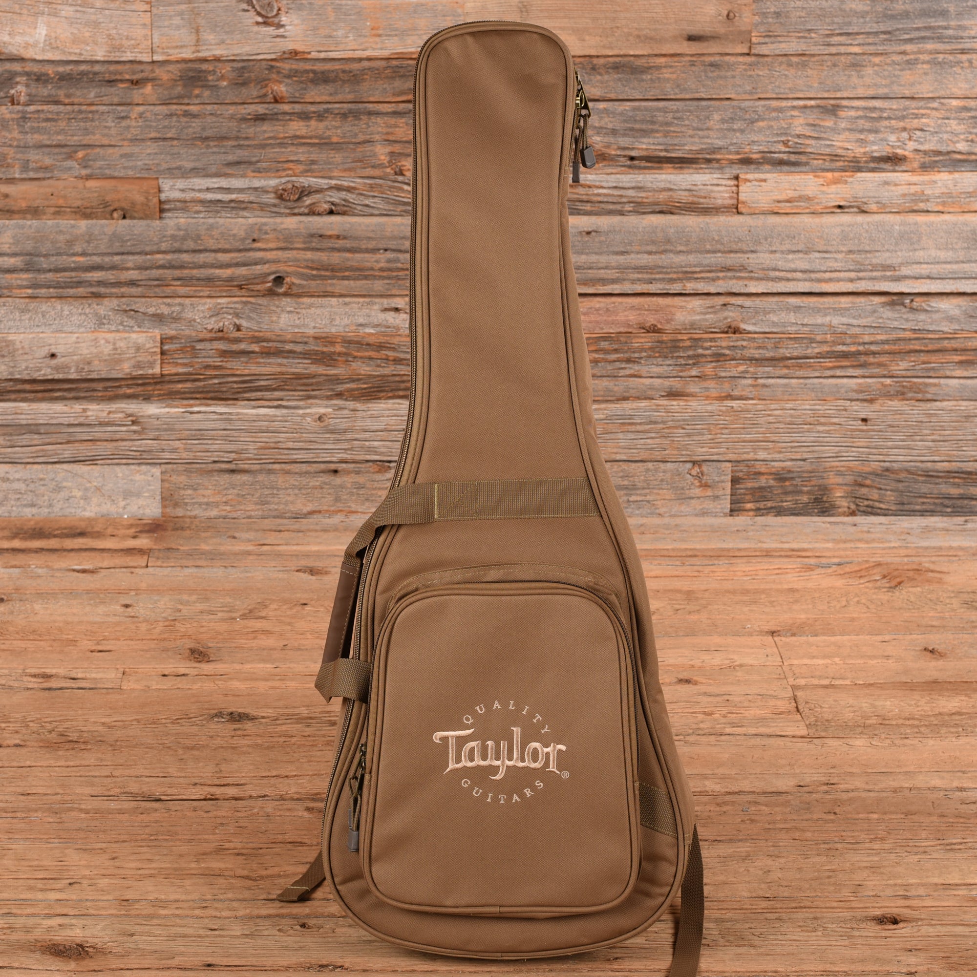 Taylor BT1e Walnut Natural w/ES-B Acoustic Guitars