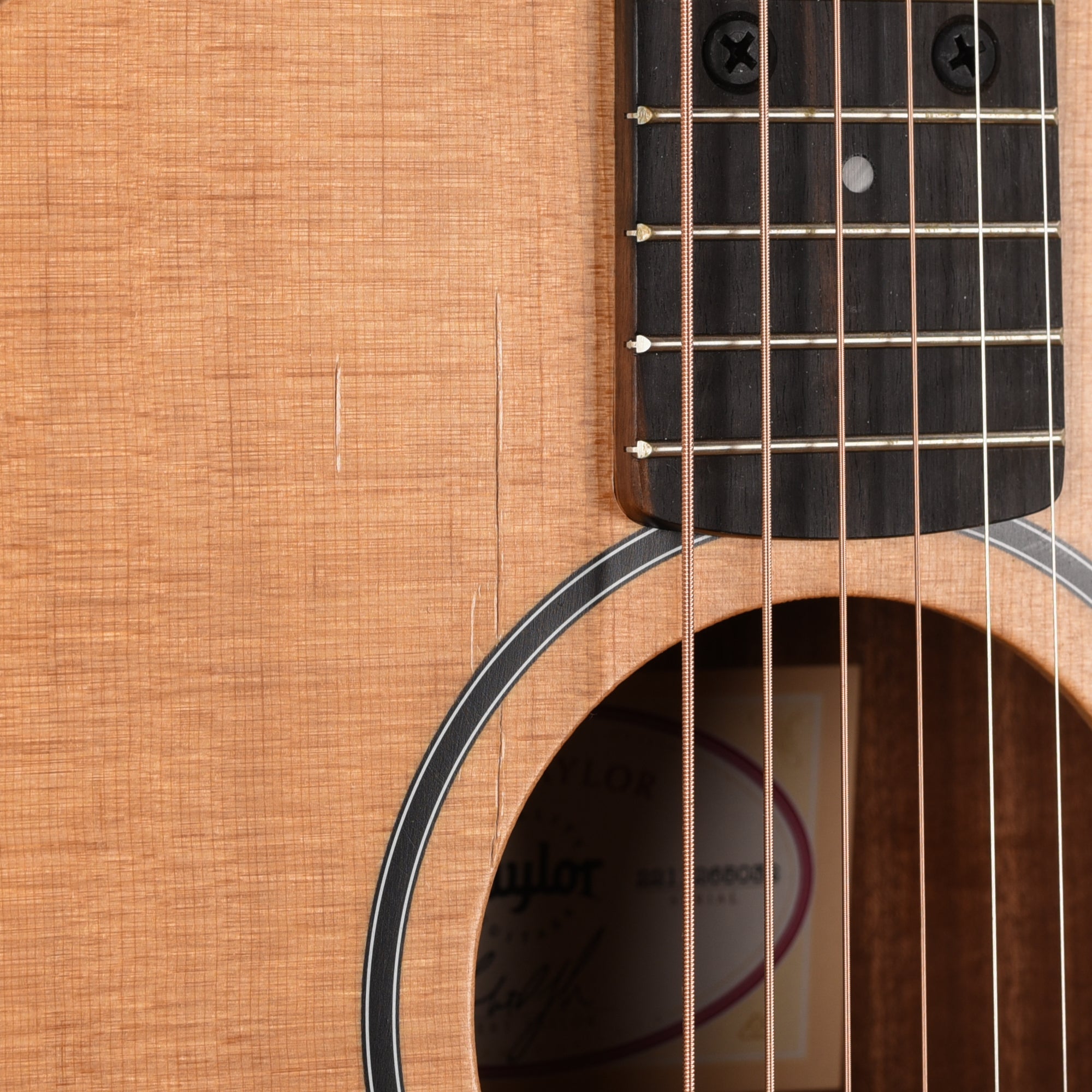 Taylor BT1e Walnut Natural w/ES-B Acoustic Guitars