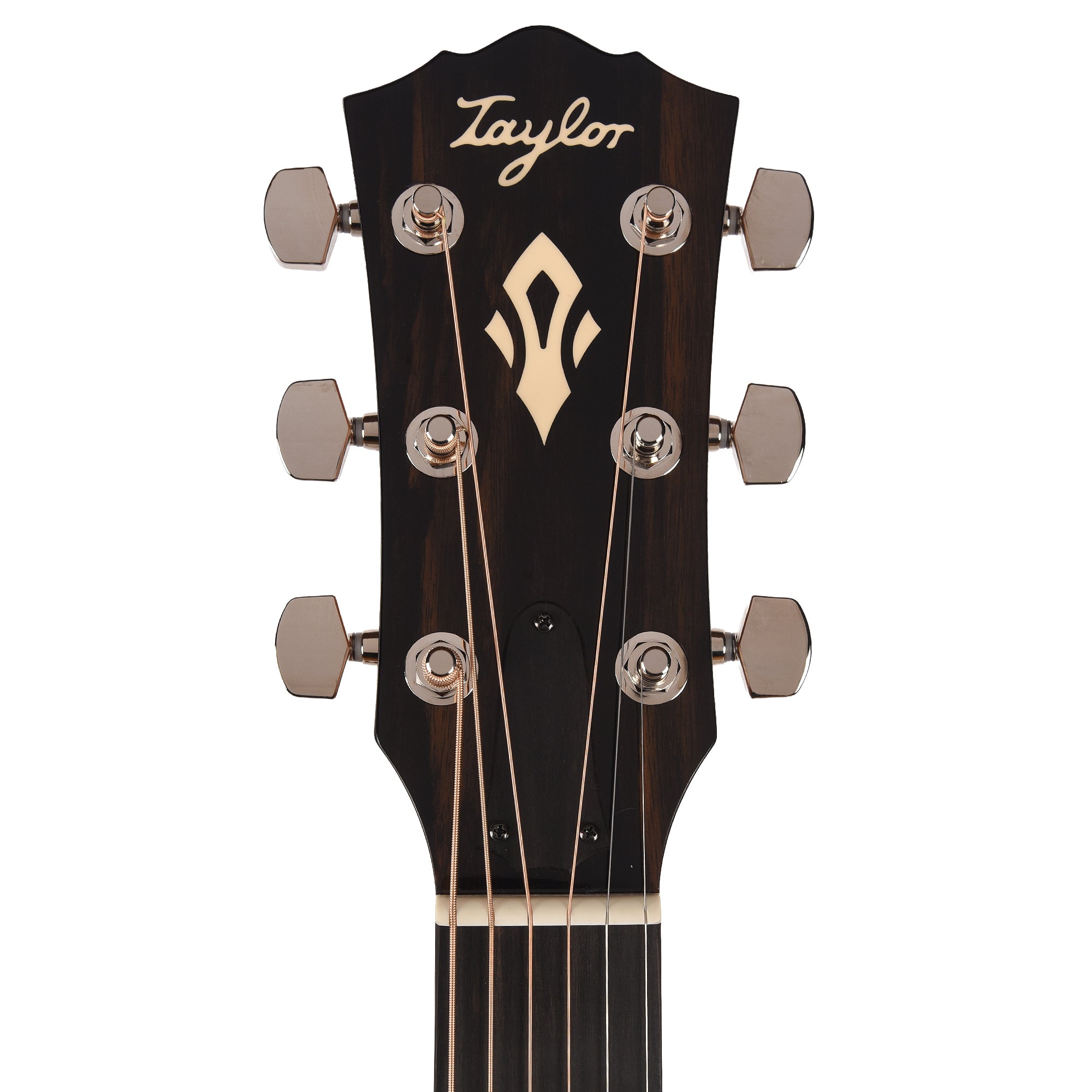 Taylor Gold Label 510e Torrefied Sitka/Mahogany Natural w/L.R. Baggs VTC Acoustic Guitars