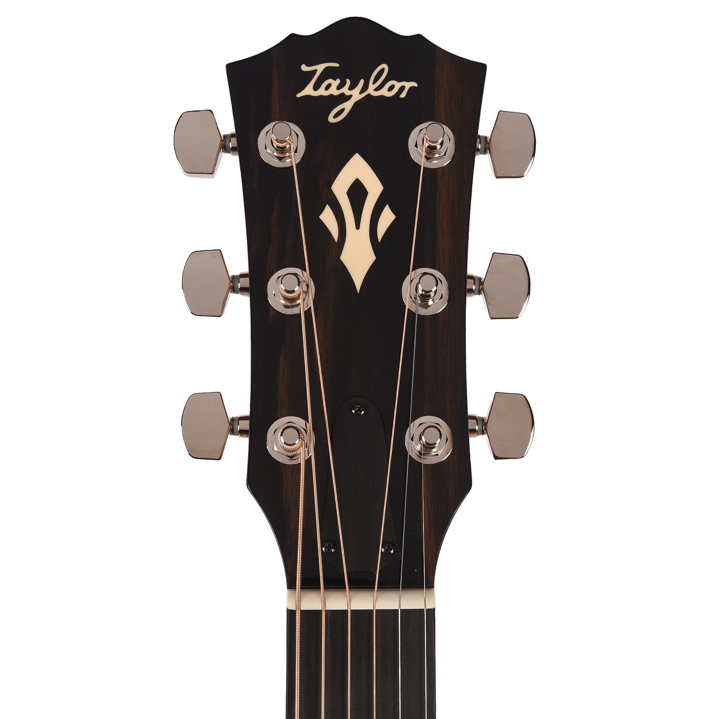 Taylor Gold Label 510e Torrefied Sitka/Mahogany Natural w/L.R. Baggs VTC Acoustic Guitars