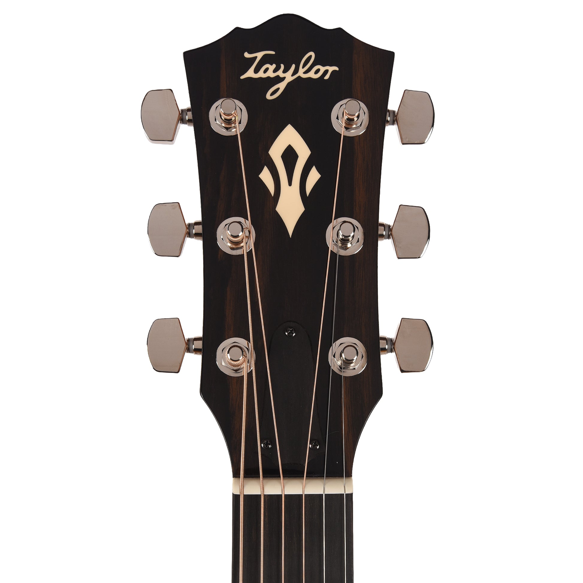 Taylor Gold Label 510e Torrefied Sitka/Mahogany Natural w/L.R. Baggs VTC Acoustic Guitars