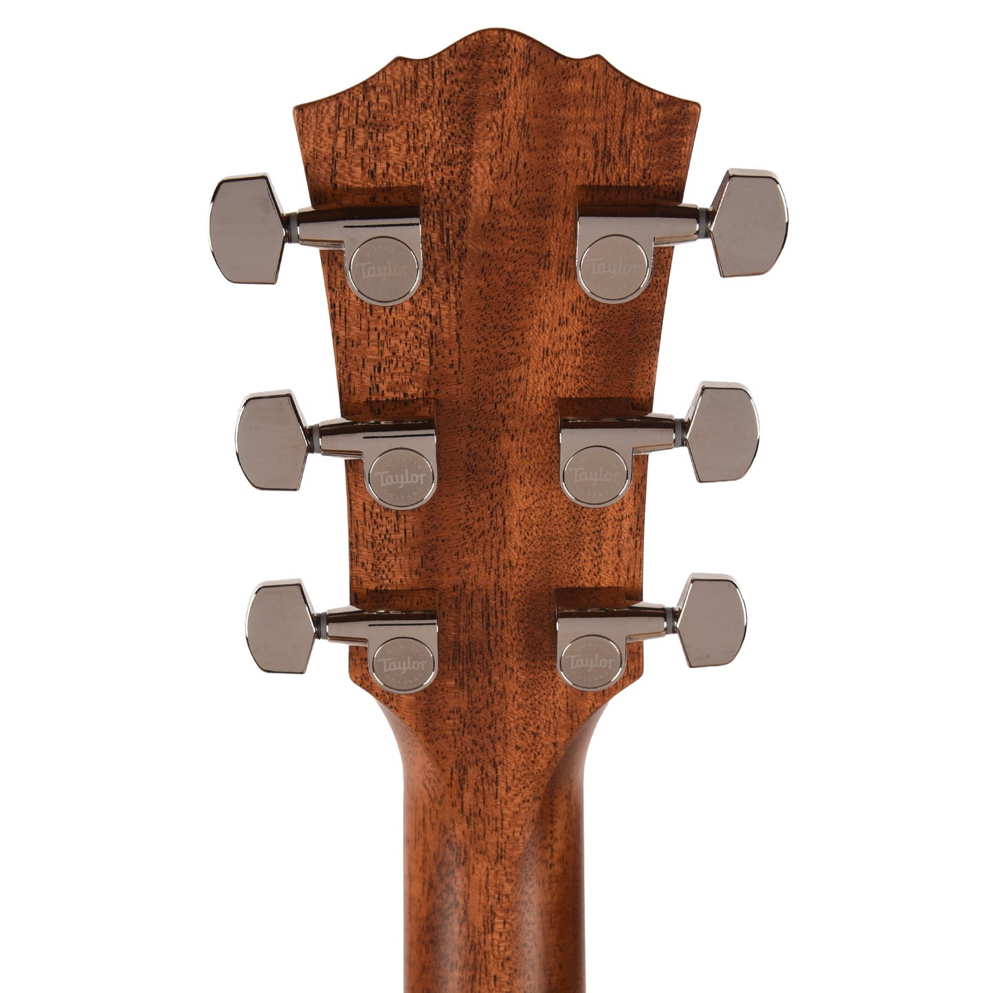 Taylor Gold Label 510e Torrefied Sitka/Mahogany Natural w/L.R. Baggs VTC Acoustic Guitars