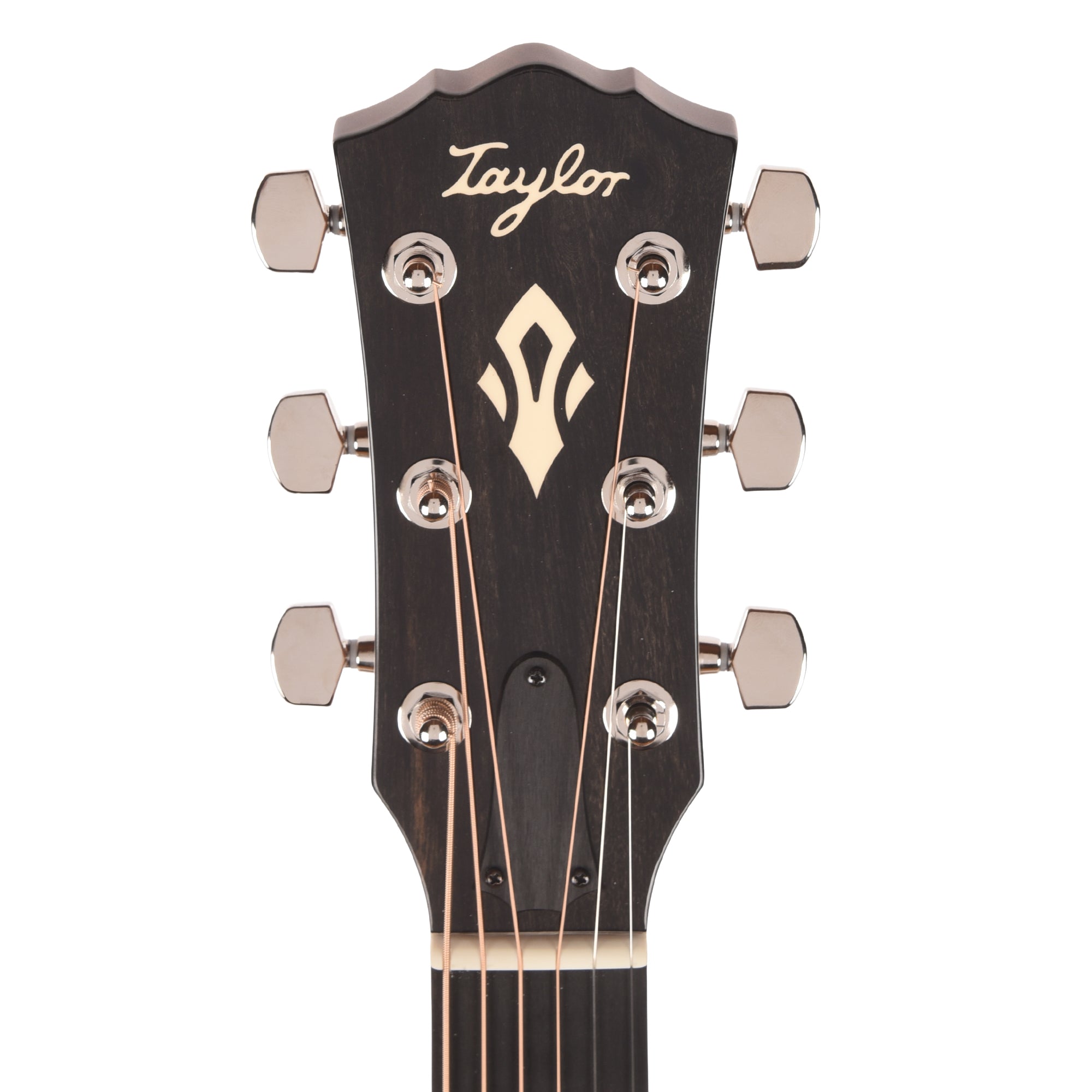 Taylor Gold Label 512e Grand Concert Torrefied Sitka/Neo-Tropical Mahogany Natural w/Claria Pickup Acoustic Guitars