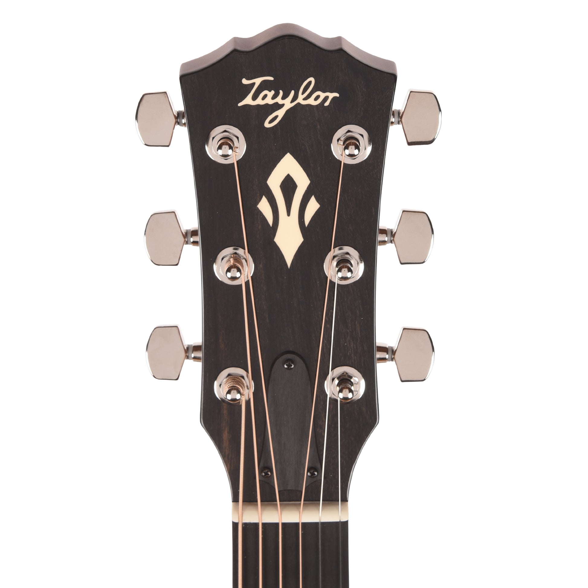 Taylor Gold Label 512e Grand Concert Torrefied Sitka/Neo-Tropical Mahogany Natural w/Claria Pickup Acoustic Guitars