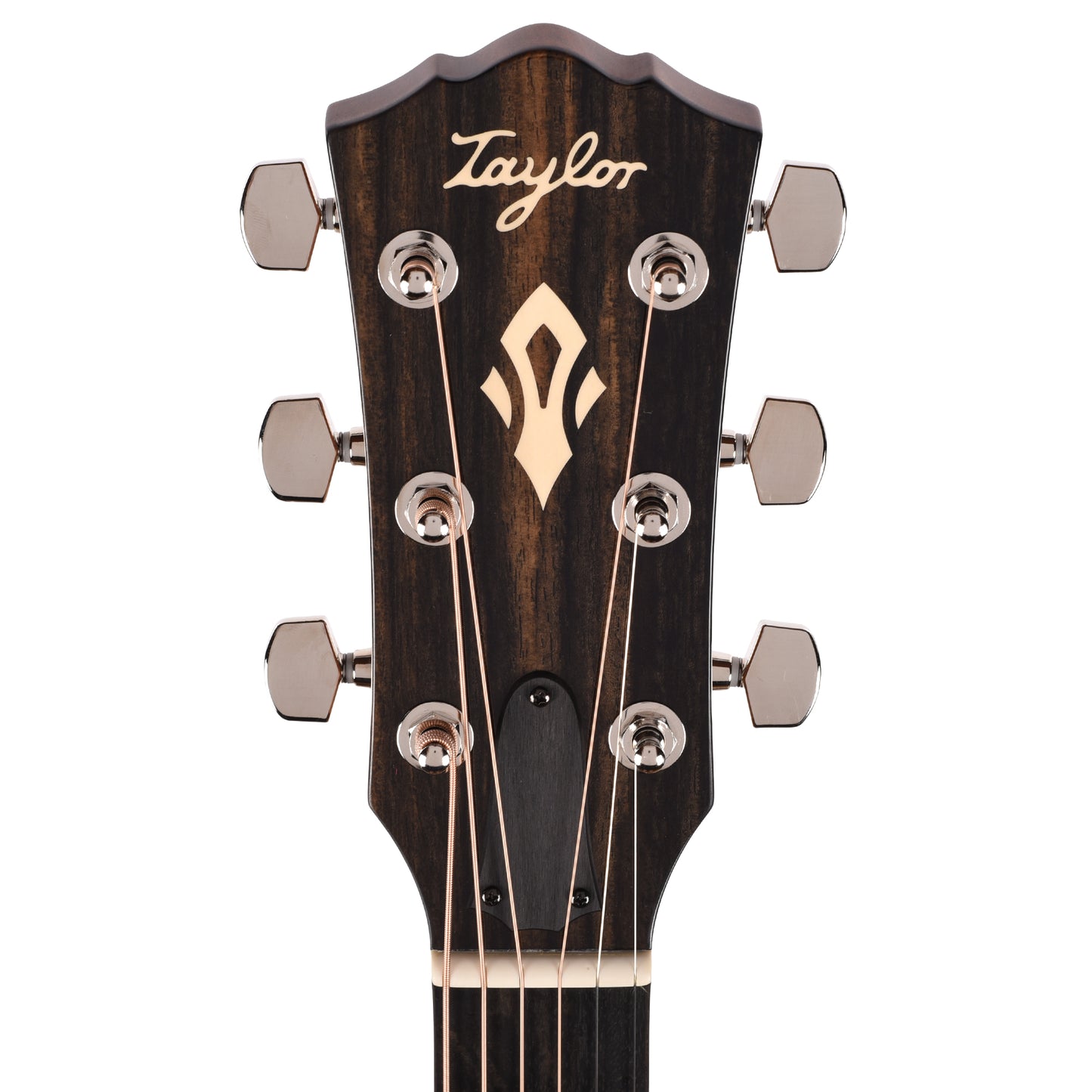 Taylor Gold Label 512e Grand Concert Torrefied Sitka/Neo-Tropical Mahogany Natural w/Claria Pickup Acoustic Guitars