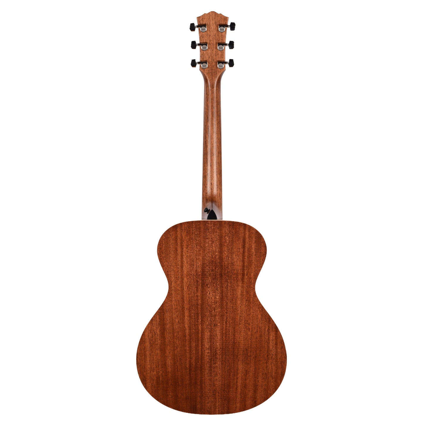Taylor Gold Label 512e Grand Concert Torrefied Sitka/Neo-Tropical Mahogany Natural w/Claria Pickup Acoustic Guitars