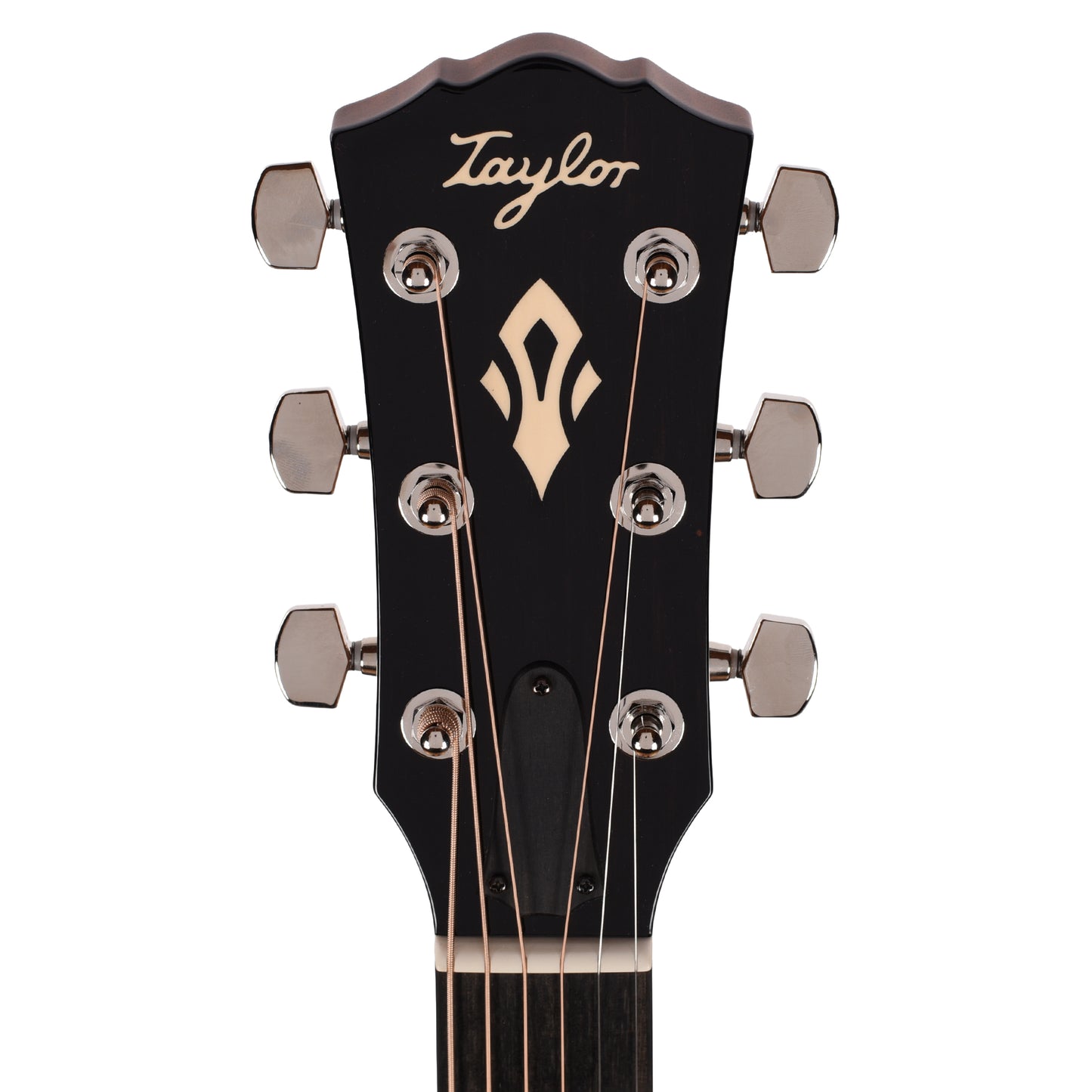 Taylor Gold Label 514e Super Auditorium Torrefied Spruce/Mahogany Natural w/L.R. Baggs VTC Acoustic Guitars