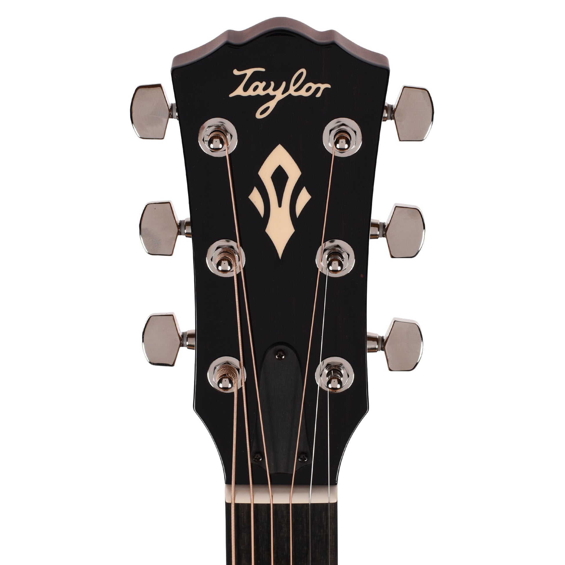 Taylor Gold Label 514e Super Auditorium Torrefied Spruce/Mahogany Natural w/L.R. Baggs VTC Acoustic Guitars