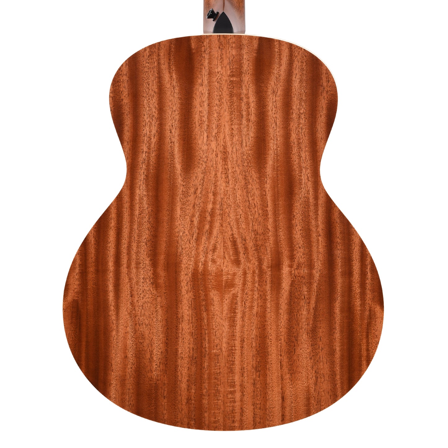 Taylor Gold Label 514e Super Auditorium Torrefied Spruce/Mahogany Natural w/L.R. Baggs VTC Acoustic Guitars