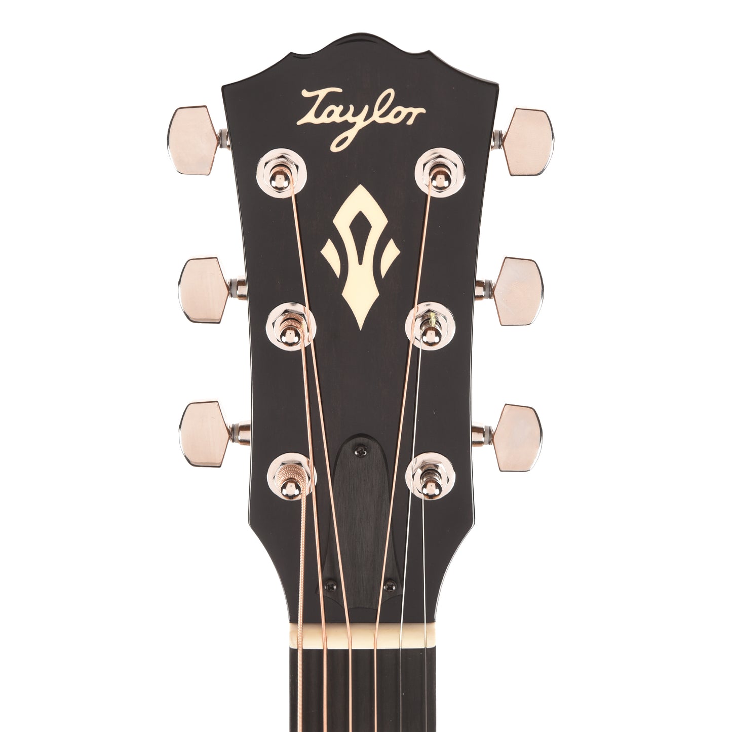 Taylor Gold Label 514e Super Auditorium Torrefied Spruce/Mahogany Sunburst w/Cream Pickguard & L.R. Baggs VTC Acoustic Guitars