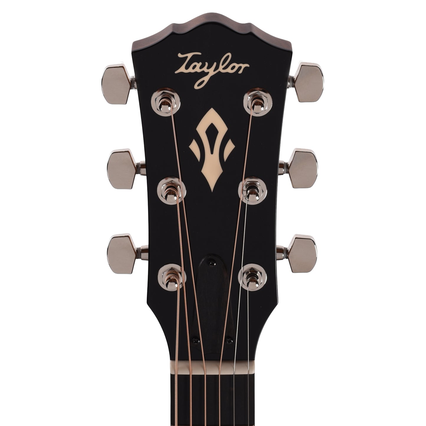 Taylor Gold Label 517e Grand Pacific Torrefied Sitka/Neo-Tropical Mahogany Sunburst w/L.R. Baggs VTC Acoustic Guitars