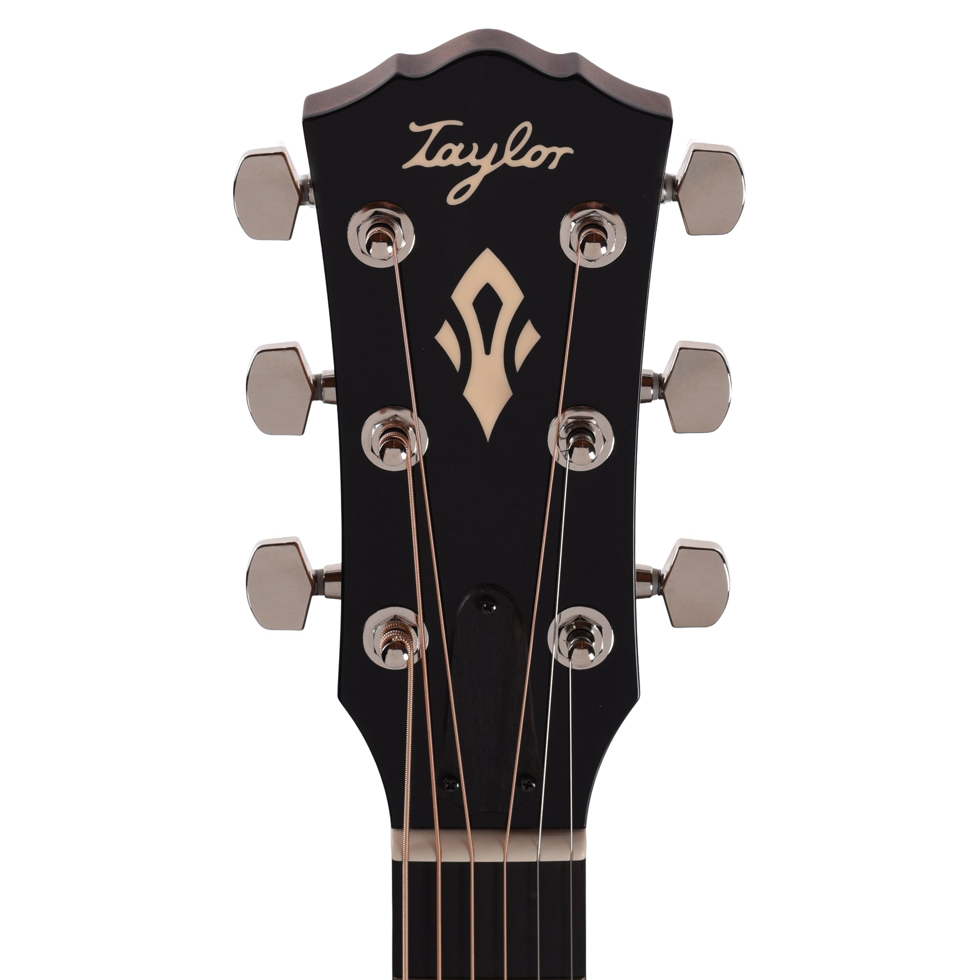 Taylor Gold Label 517e Grand Pacific Torrefied Sitka/Neo-Tropical Mahogany Sunburst w/L.R. Baggs VTC Acoustic Guitars