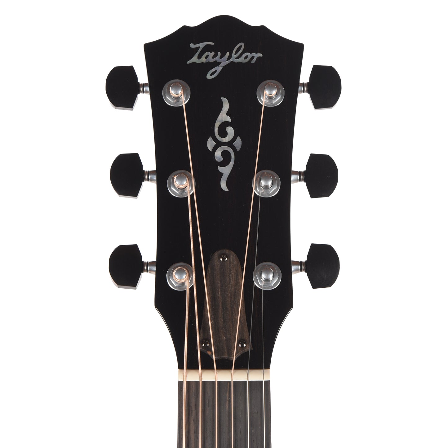 Taylor Gold Label 810e Torrefied Sitka/Honduran Rosewood Natural w/L.R. Baggs VTC Acoustic Guitars
