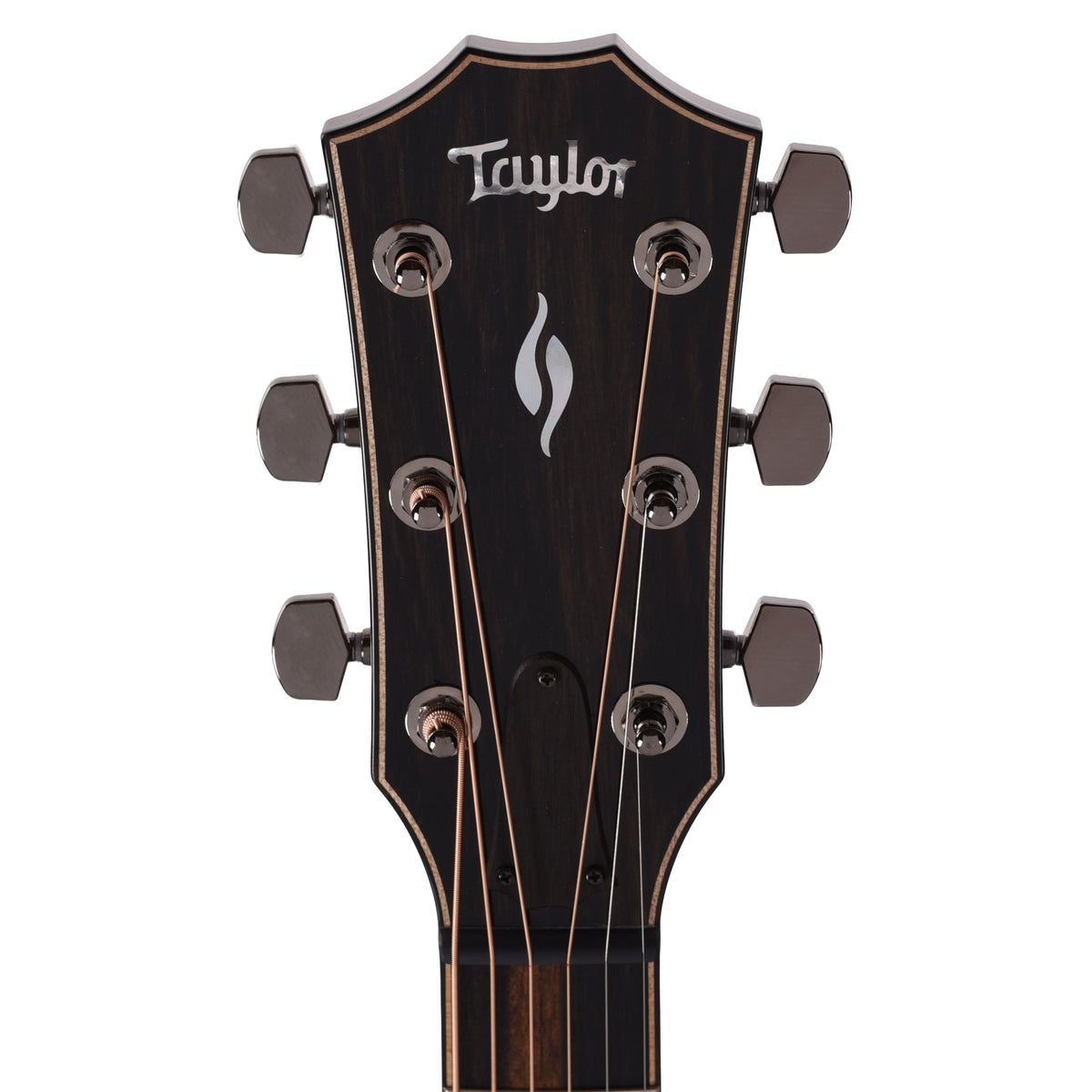 Taylor Limited Edition 814ce Casablanca Metallic Beige Top Acoustic Guitars
