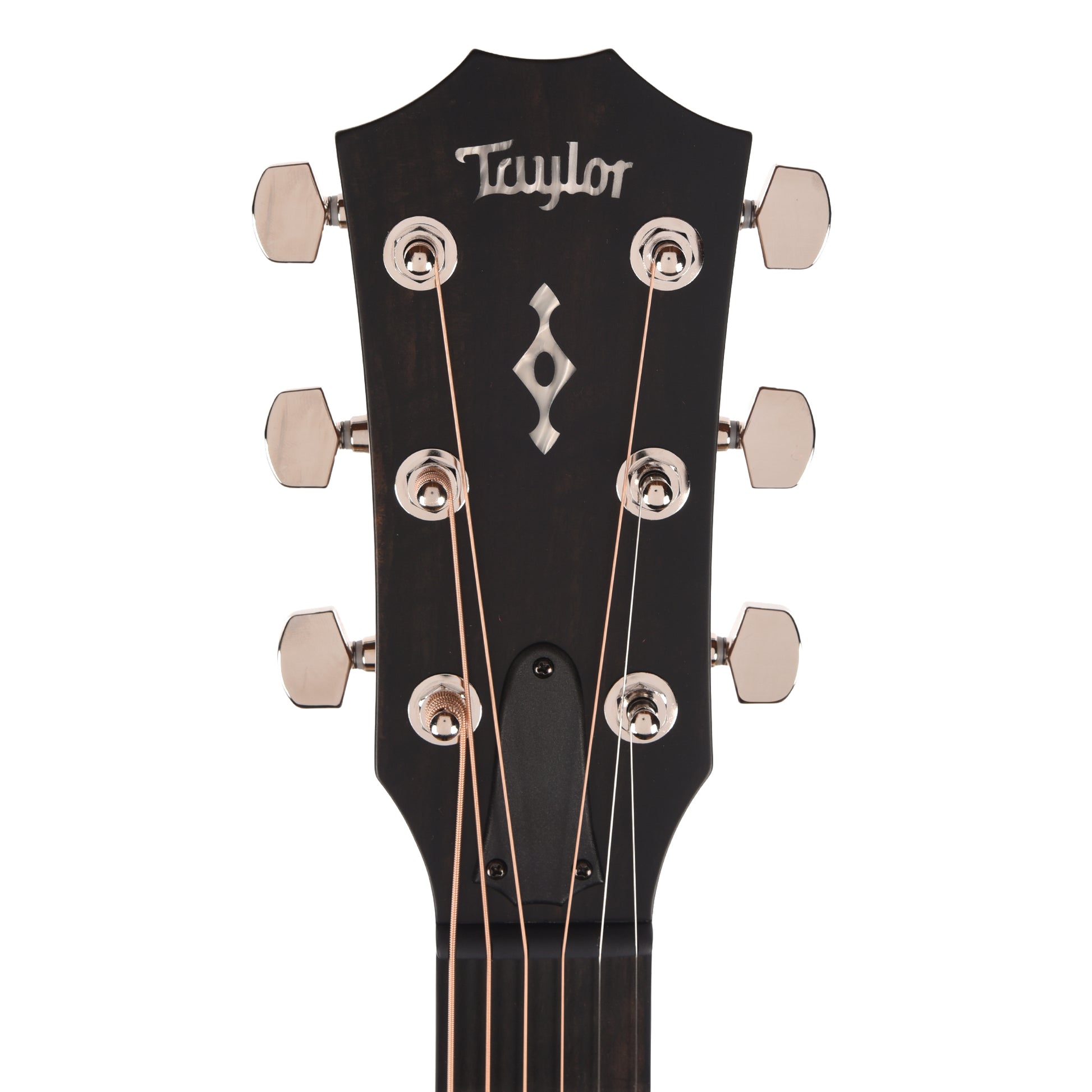 Taylor Next Generation 414ce Grand Auditorium Sitka Spruce/Rosewood Natural w/Claria Acoustic Guitars