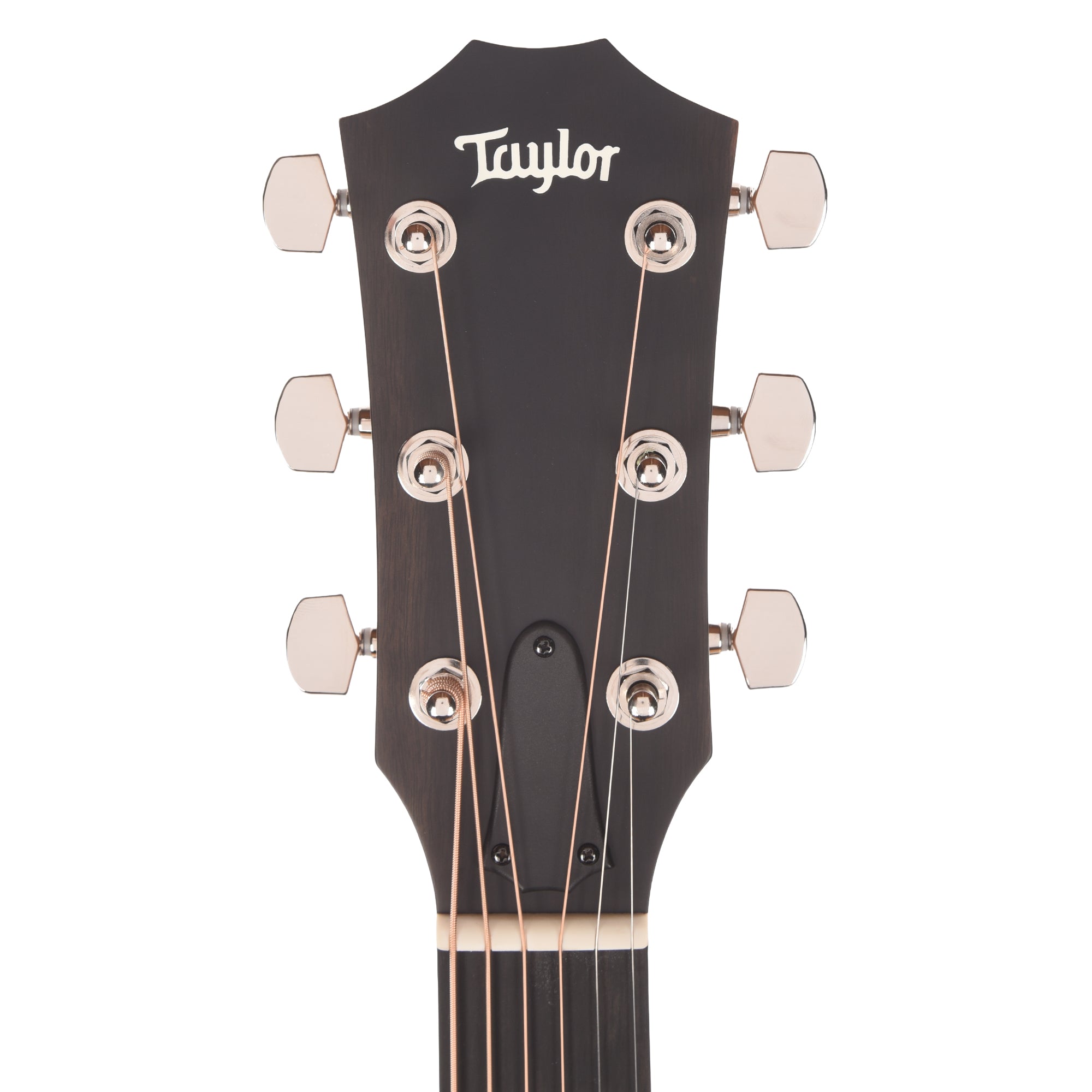 Taylor Next Generation Special Edition 414ce Studio Grand Auditorium Torrefied Sitka Spruce/Rosewood Honeyburst ES2 Acoustic Guitars