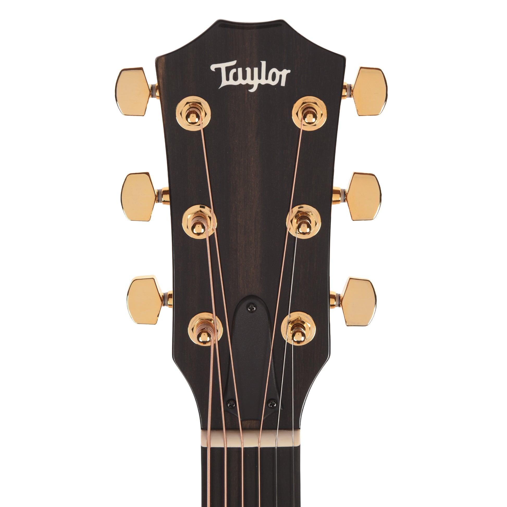 Taylor Special Edition 217e Plus Grand Pacific Torrefied Spruce/Big Leaf Maple Honeyburst ES2 Acoustic Guitars